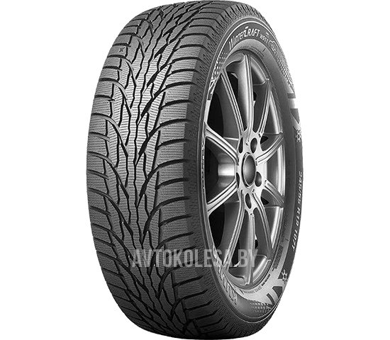 WinterCraft Ice WS51
