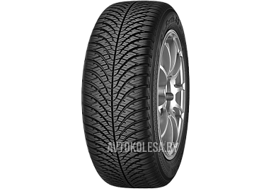 группа Yokohama