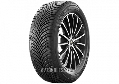 группа Michelin