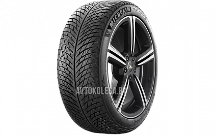 группа Michelin