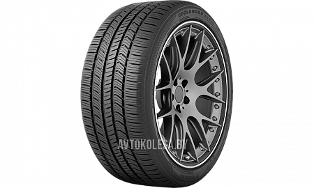 группа Yokohama