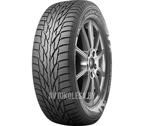 WinterCraft Ice WS51