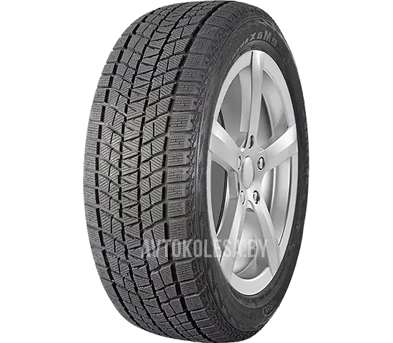 SnowShoes RW501