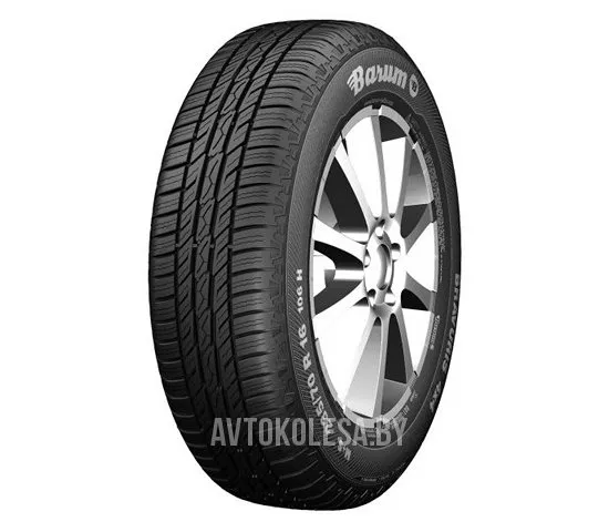 Bravuris 4x4