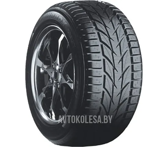 Snowprox S953