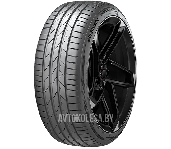 Ventus evo K137