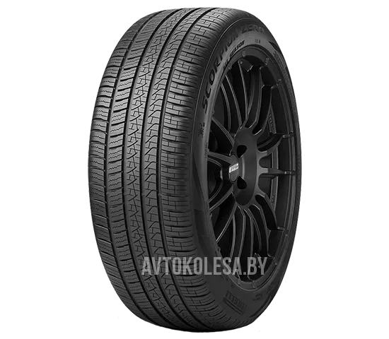 Scorpion Zero All Season