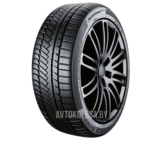 ContiWinterContact TS 850 P